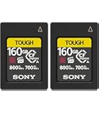 Amazon.com: Sony CEA-G80T 80GB CFexpress Type A Memory Card